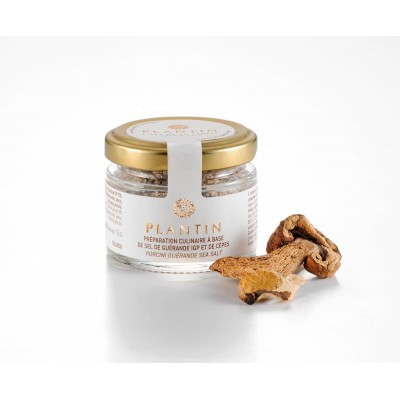 Salz aus Guérande mit Steinpilzen IGP - 50g Salz aus Guérande mit Steinpilzen IGP - 50g