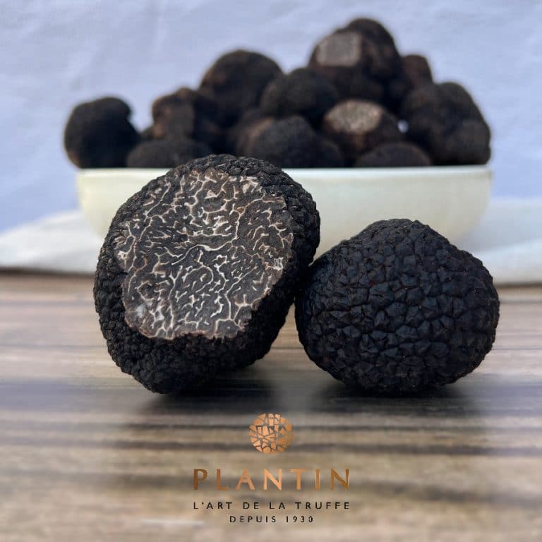 Truffe noire d'Australie