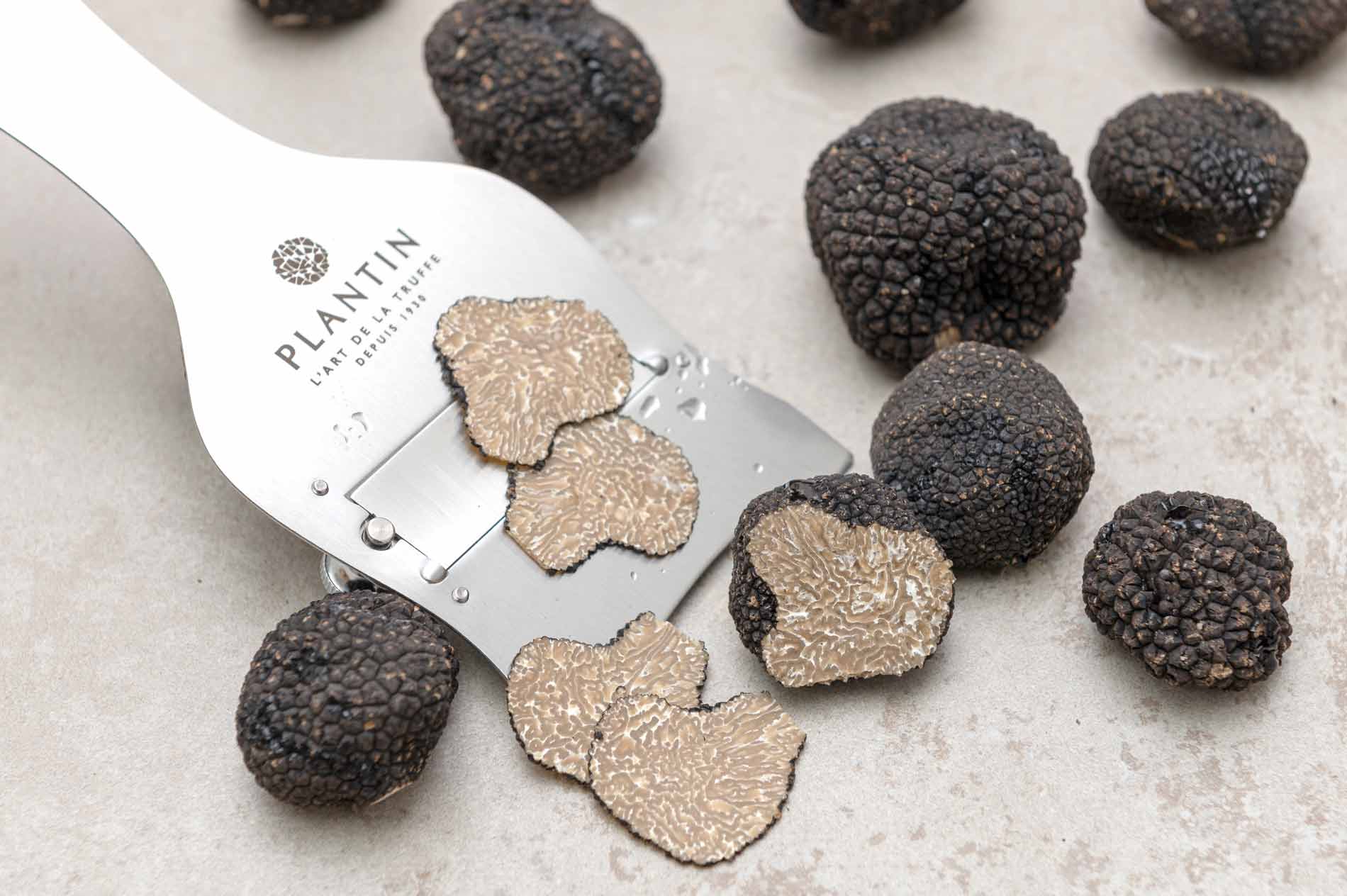 Truffe d'été