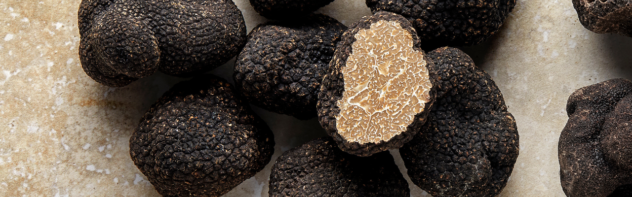 Truffe en concerve Achat truffe noire