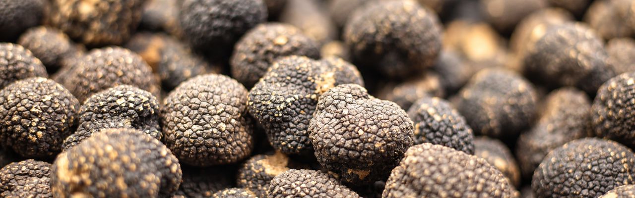 Achat truffe noire
