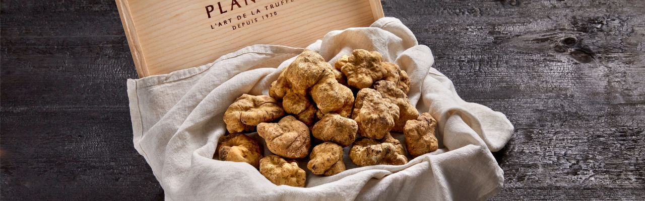 Truffe d'alba Achat truffe noire