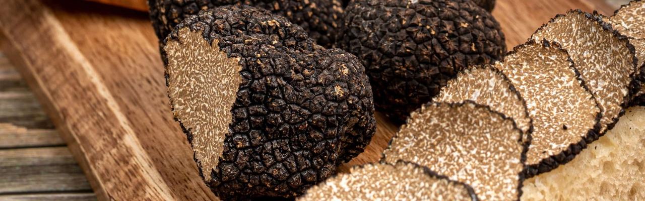 Truffe de Bourgogne Achat truffe noire