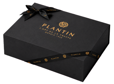 Boîte cadeau Plantin