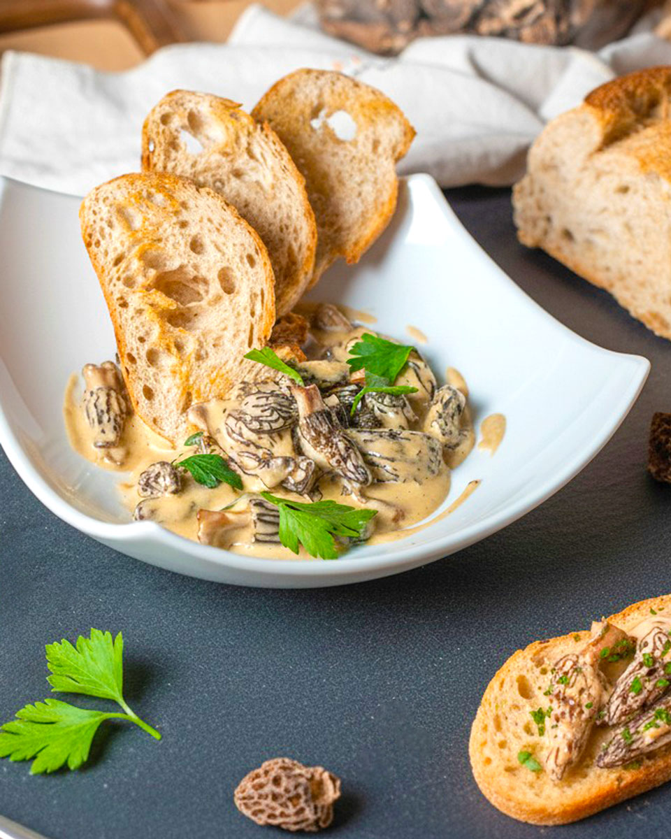 Croûte de morilles
