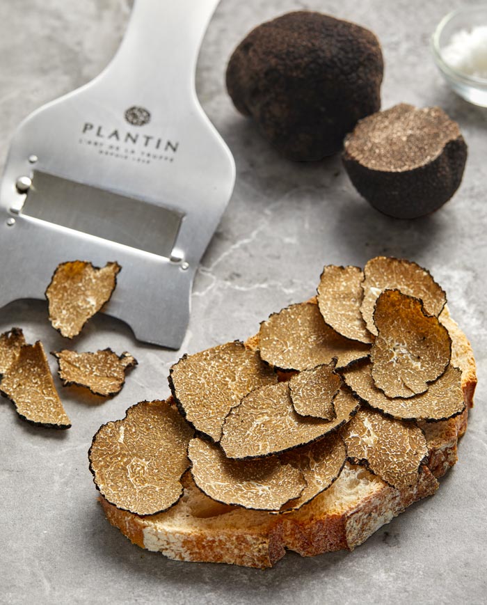 Gros plan sur une truffe d’automne Tuber uncinatum