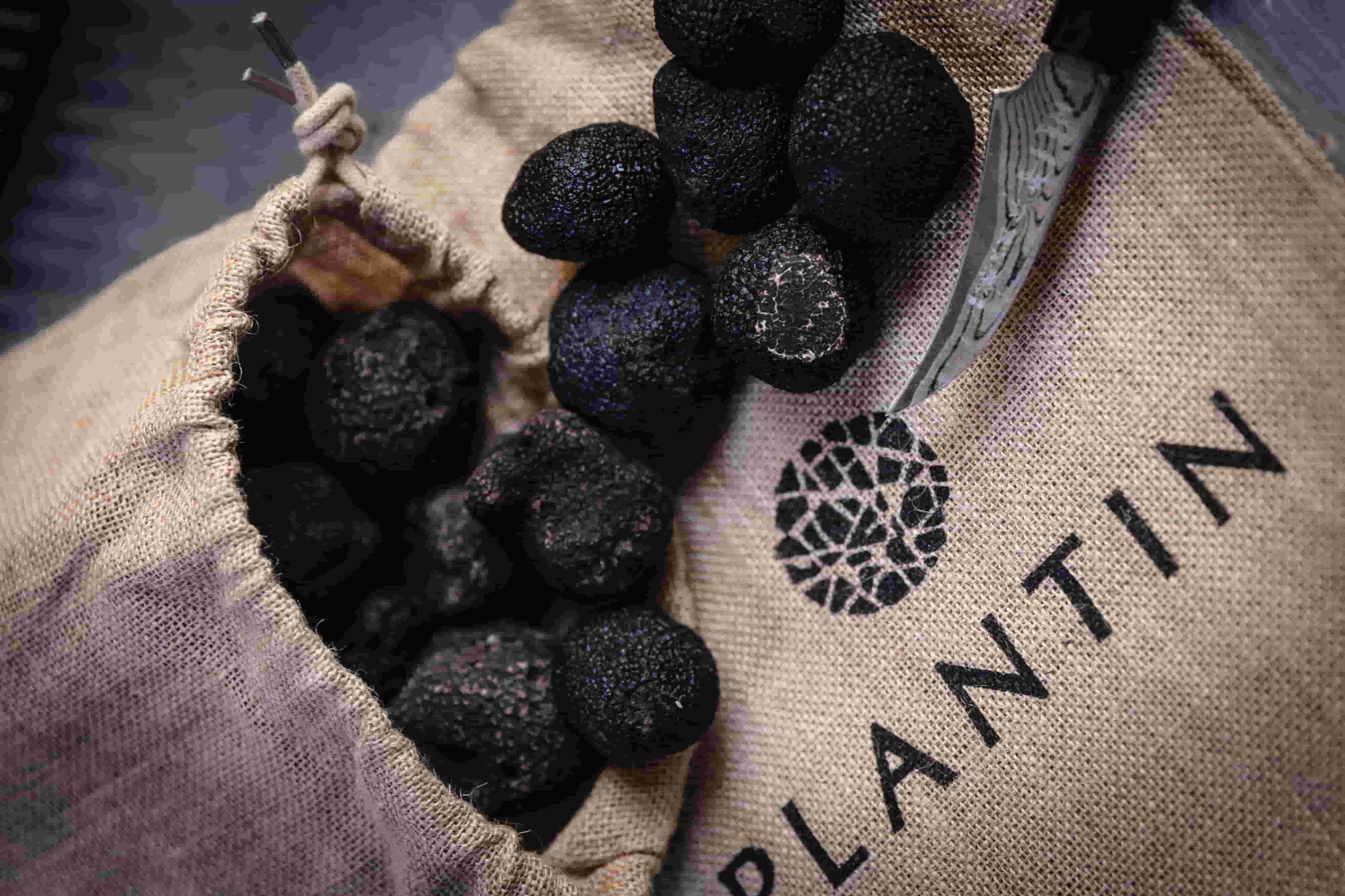 Coffret Solo Pelures de truffes noires Plantin