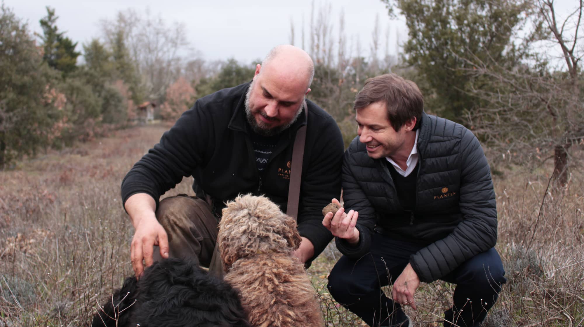 Truffes pour professionnels PLANTIN