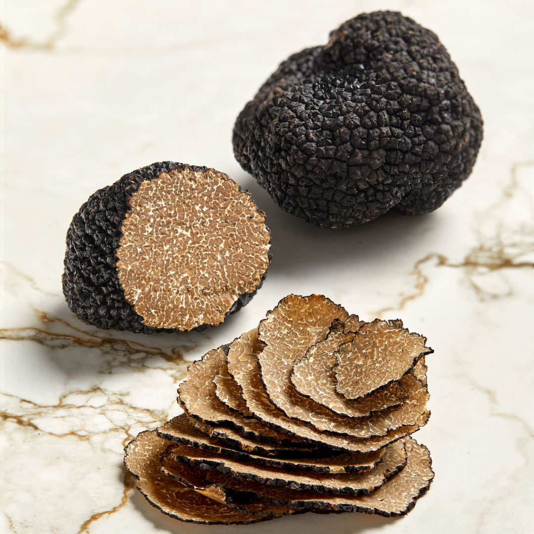 truffe d'été fraîche PLANTIN