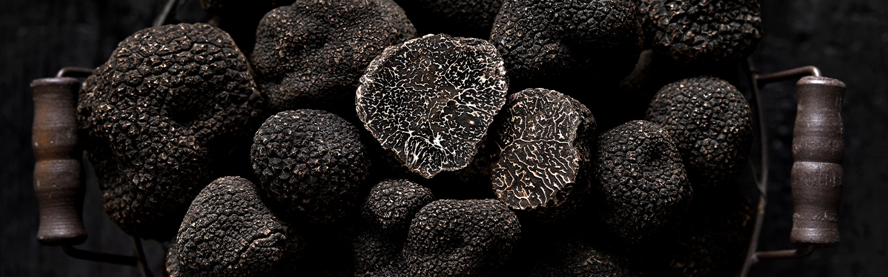 Truffe Noire Plantin Achat truffe noire