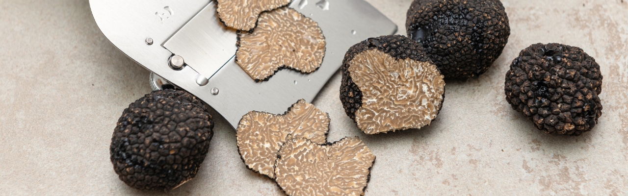 Truffe Plantin Achat truffe noire