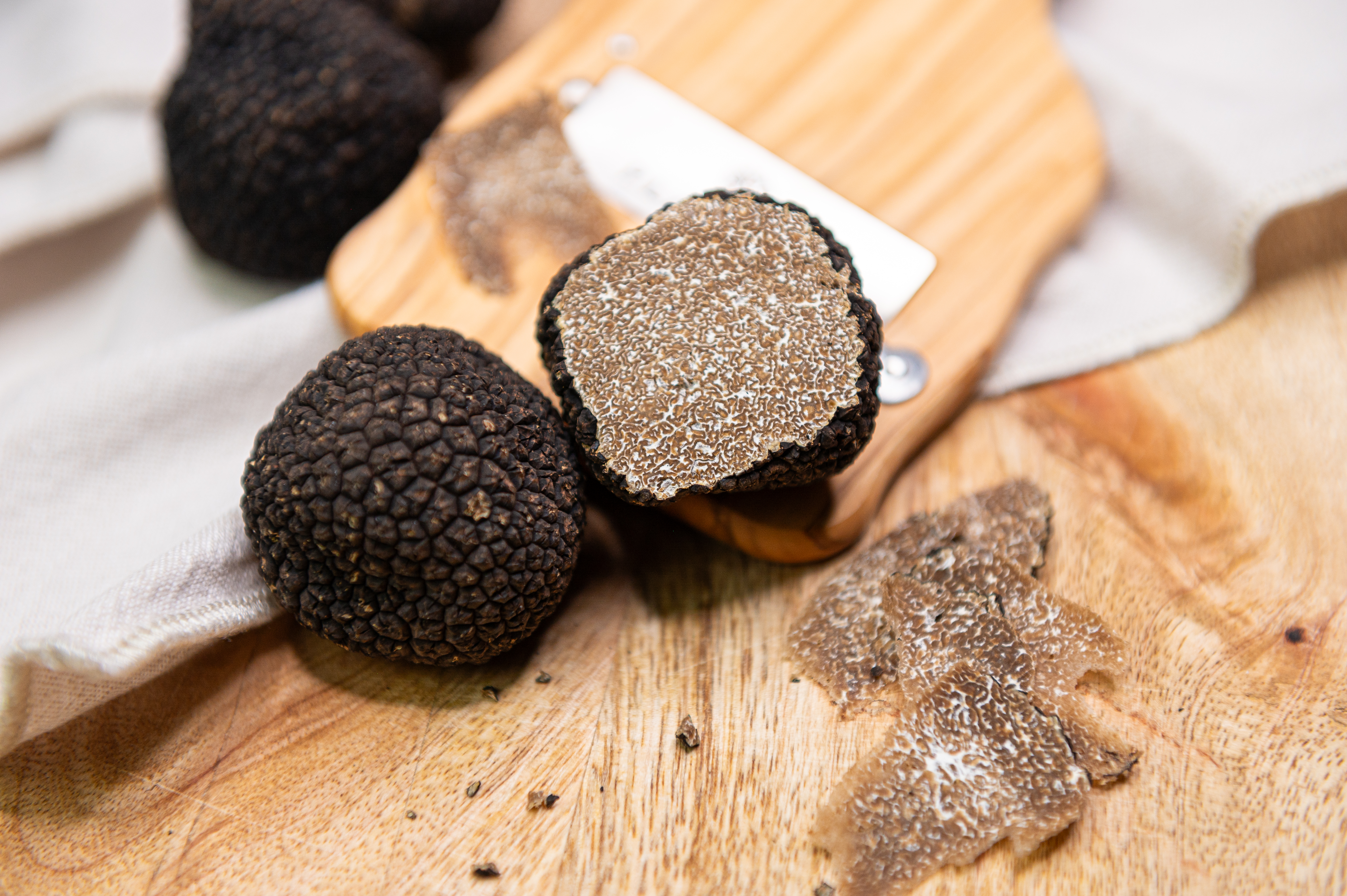 Truffe de Bourgogne : découvrez son parcours chez Plantin