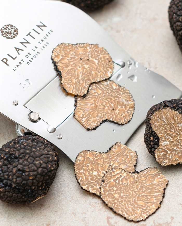 Quel est le goût de la truffe d’été ?