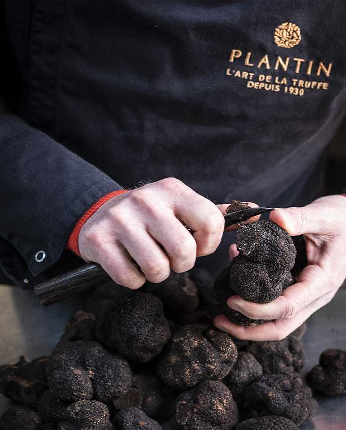 Comment cuisiner la truffe noire ?