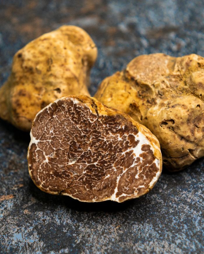 Truffe blanche d’Alba : qu’est-ce qui la rend si exceptionnelle ?