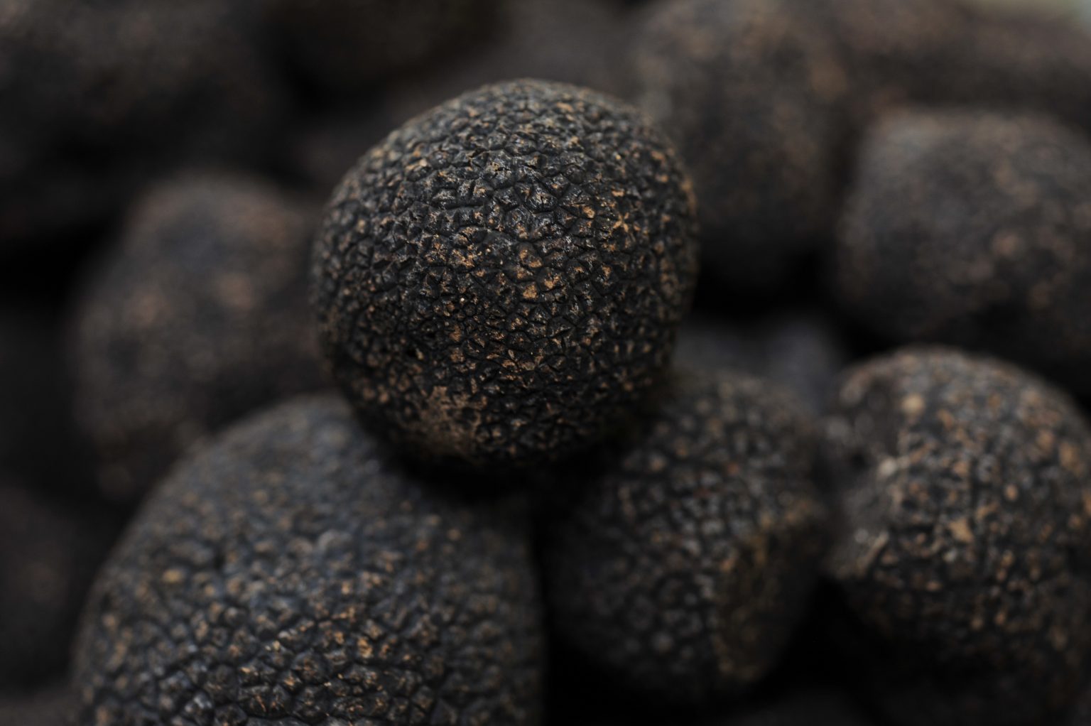 De la Terre à la Table : comment nettoyer vos truffes fraîches ?