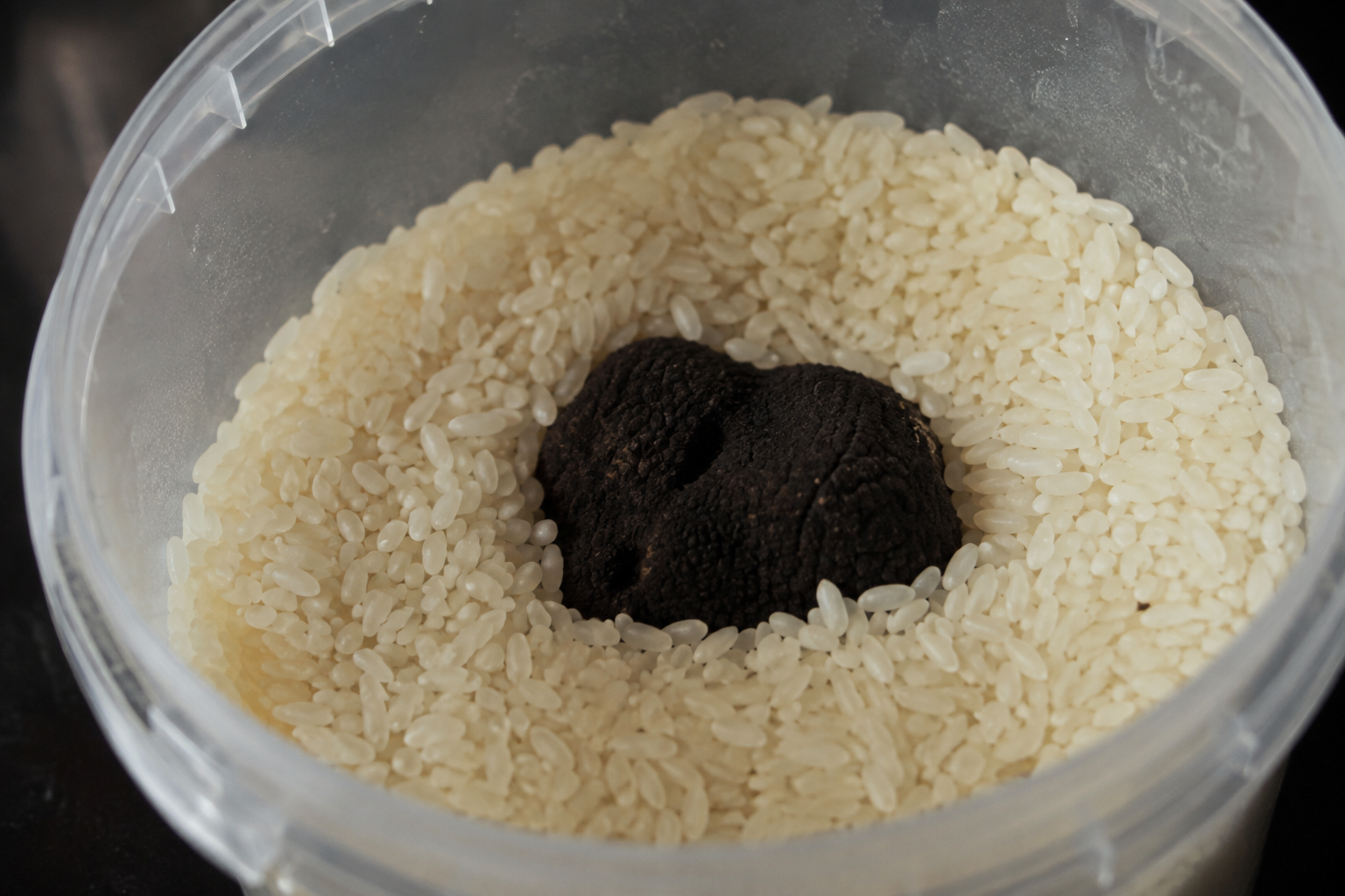 Truffe de Bourgogne placée temporairement dans un récipient rempli de riz sec