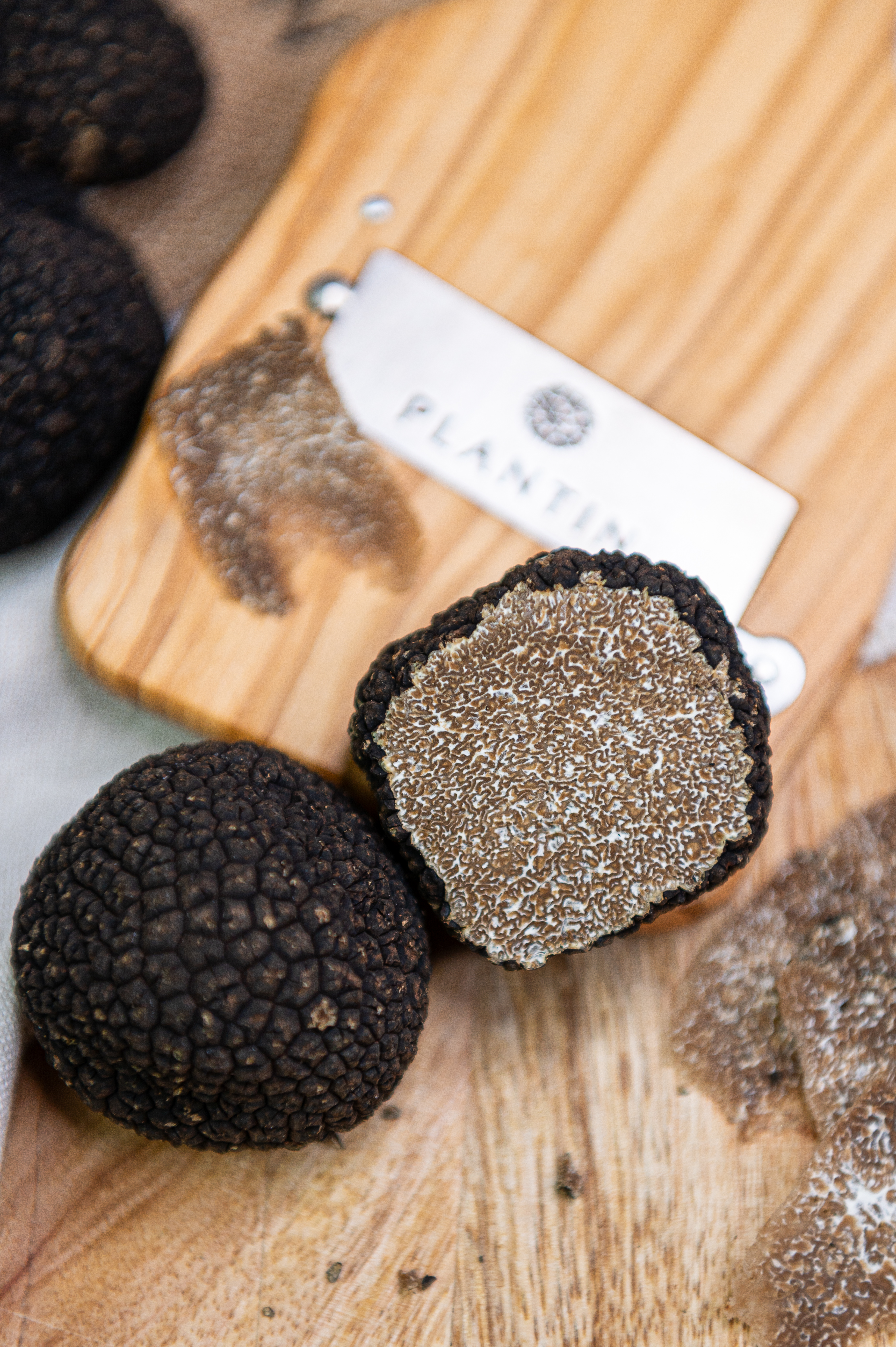 Truffe de Bourgogne : ce qu’il faut vraiment savoir