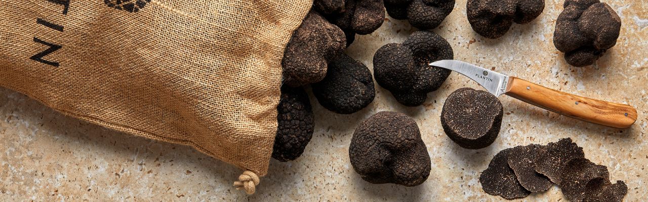 Comment utiliser la truffe noire en cuisine ?
