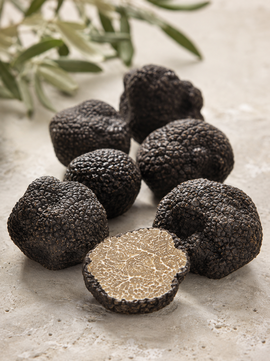 alt="Truffes d’été fraîches fermes avec une chair claire et finement veinée"