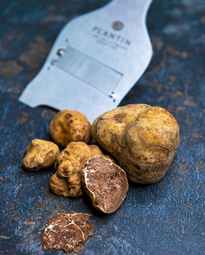 Truffe blanche d’Alba coupée avec coupe-truffe Plantin