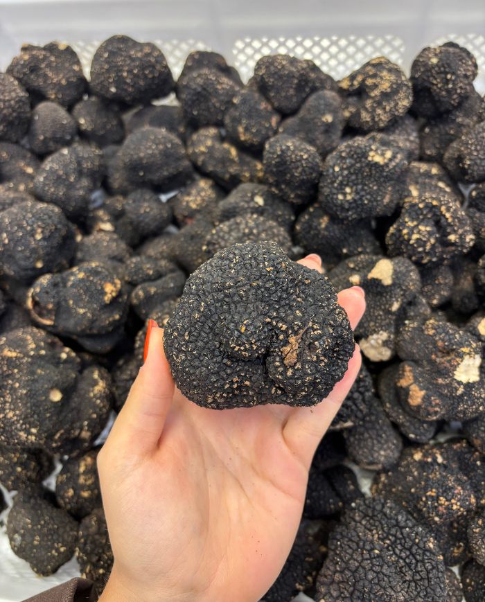 Préparation et consommation de la Truffe