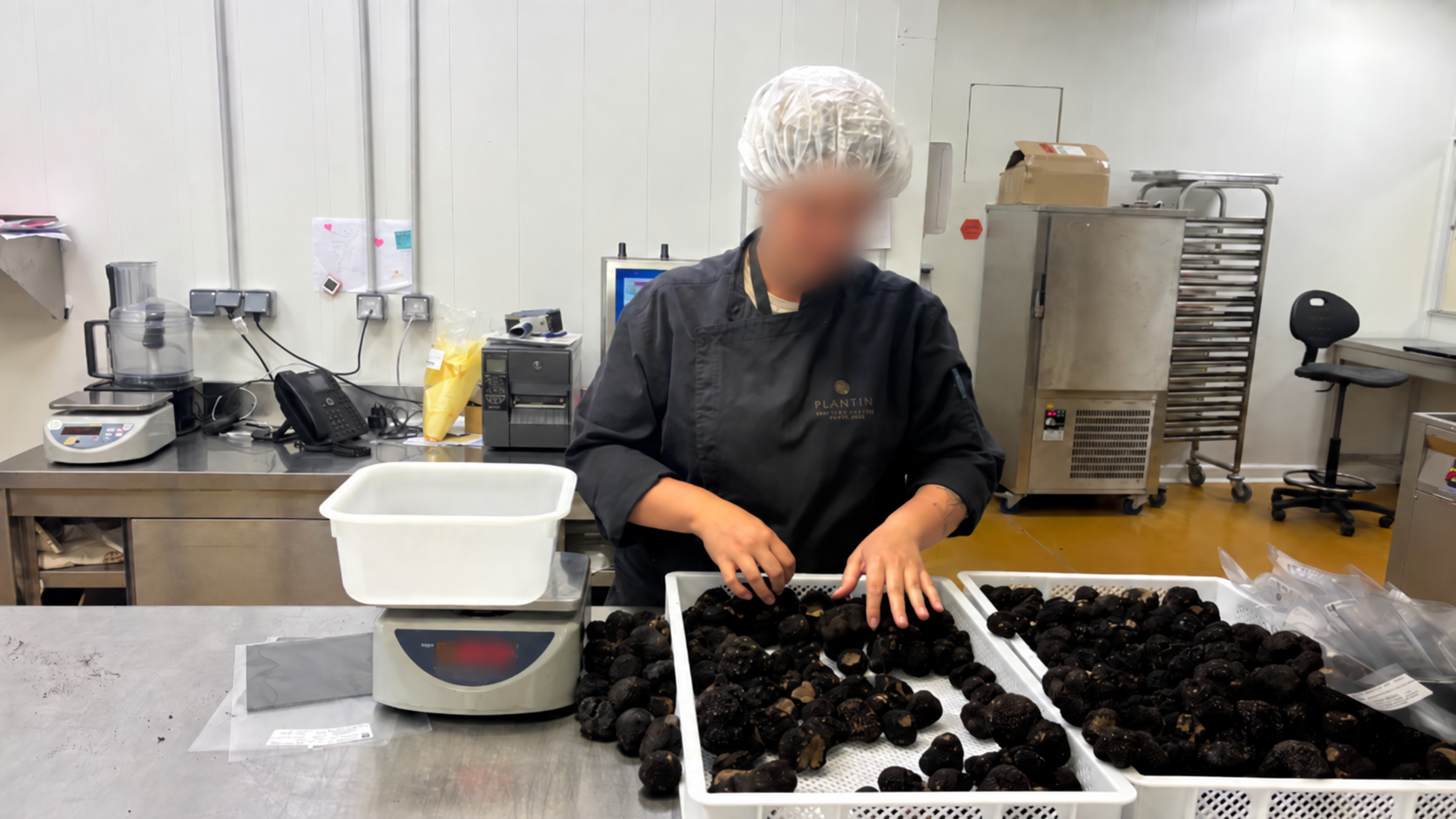 Truffe de Bourgogne : découvrez son parcours chez Plantin