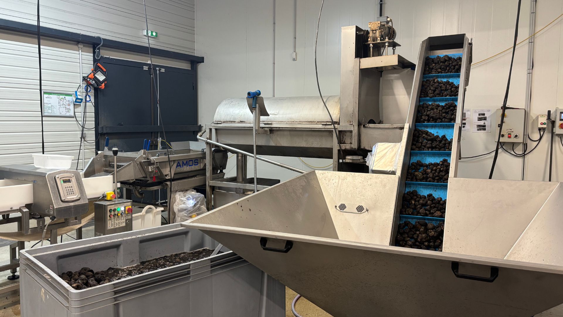 Truffe de Bourgogne : découvrez son parcours chez Plantin