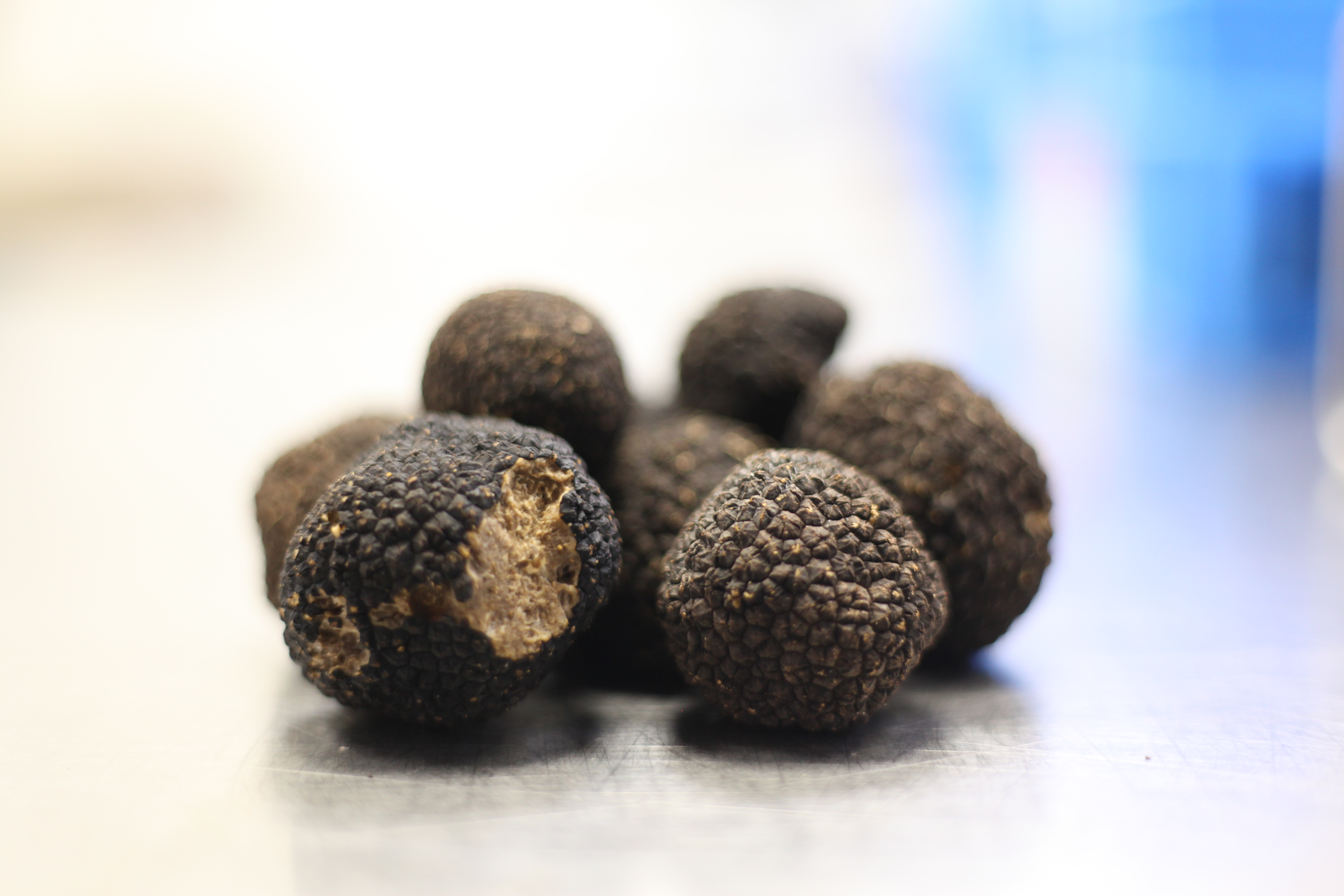 Truffe de Bourgogne : que révèle son marbrage ?