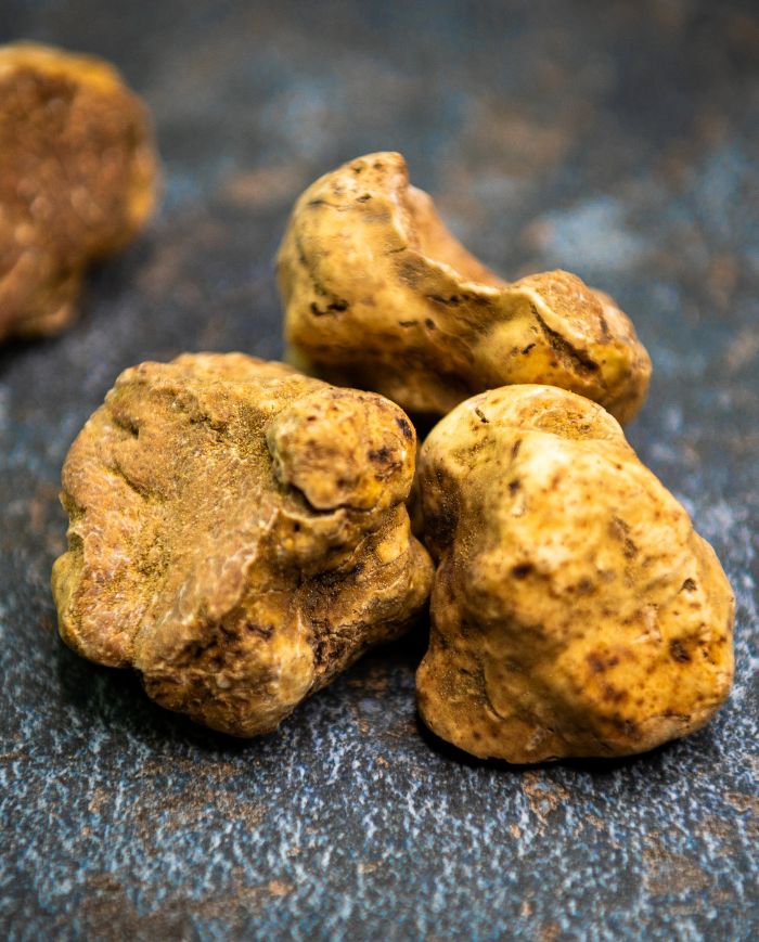 Truffes blanches d’Alba fraîches entières