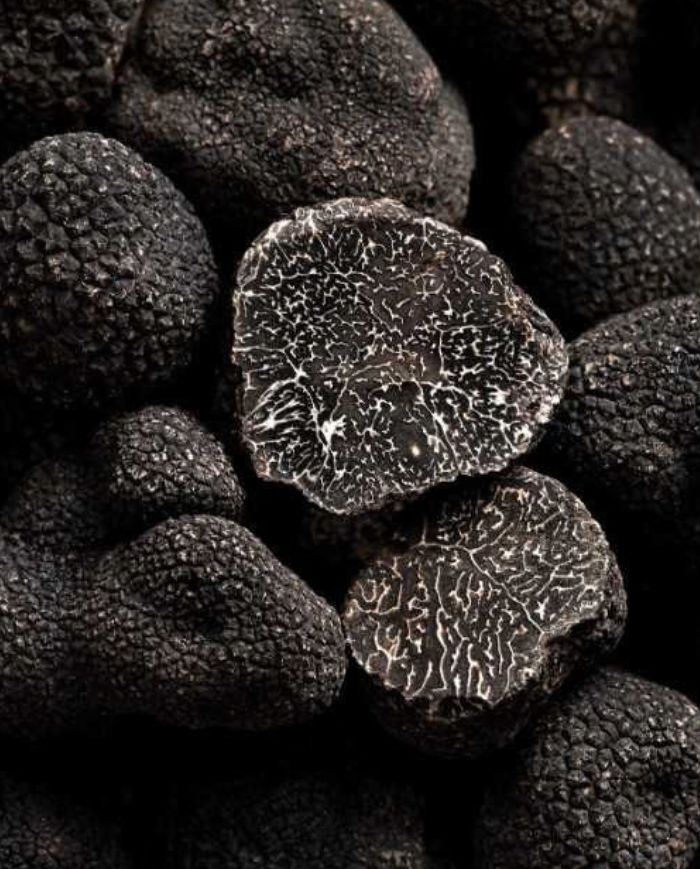 Truffes noires entières et coupées révélant les variations naturelles de leur chair et de leur veinage