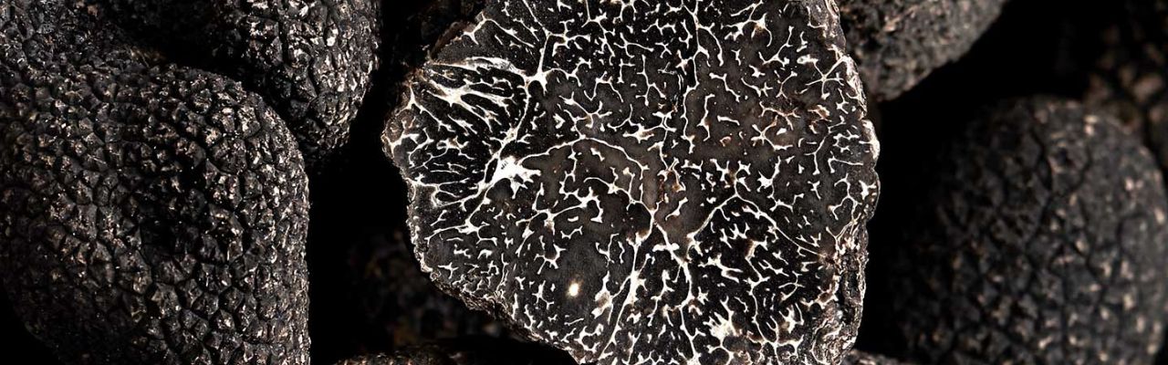 Conserver la Truffe : nos conseils pour une fraîcheur prolongée